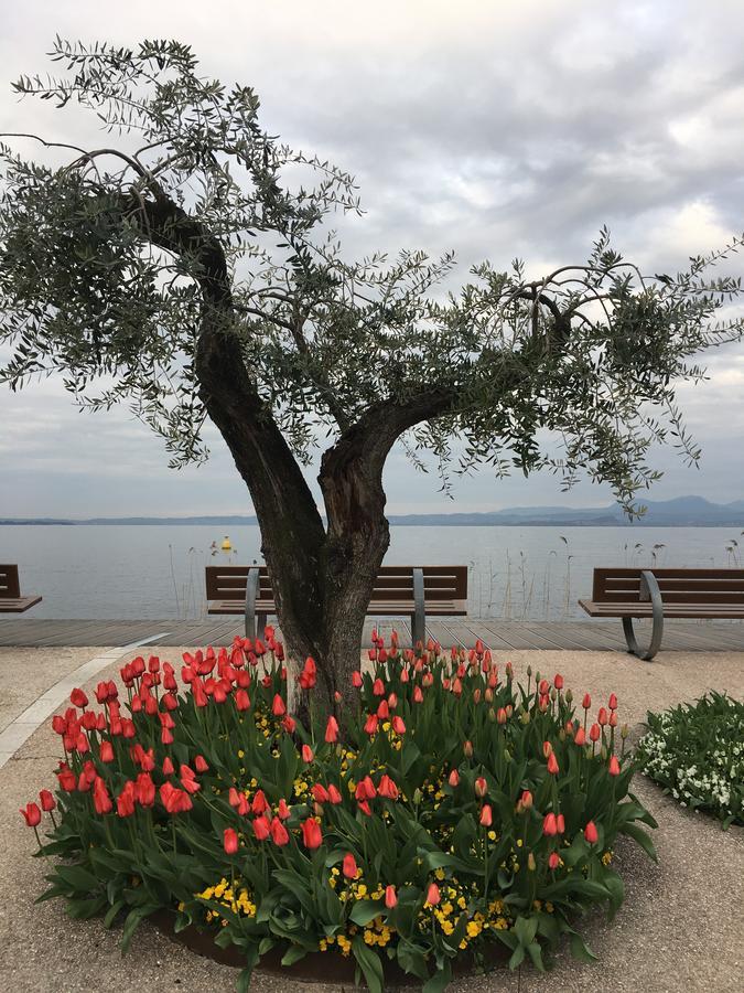 Caba Holiday Bardolino D'Annunzio Экстерьер фото